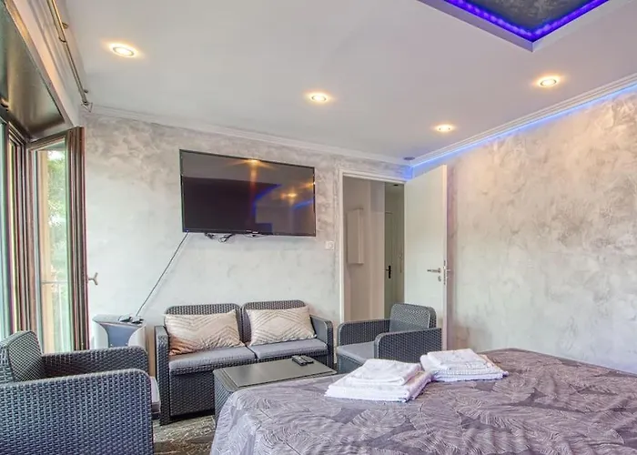 Apartment Avec Sauna, Jacuzzi, Strasbourg