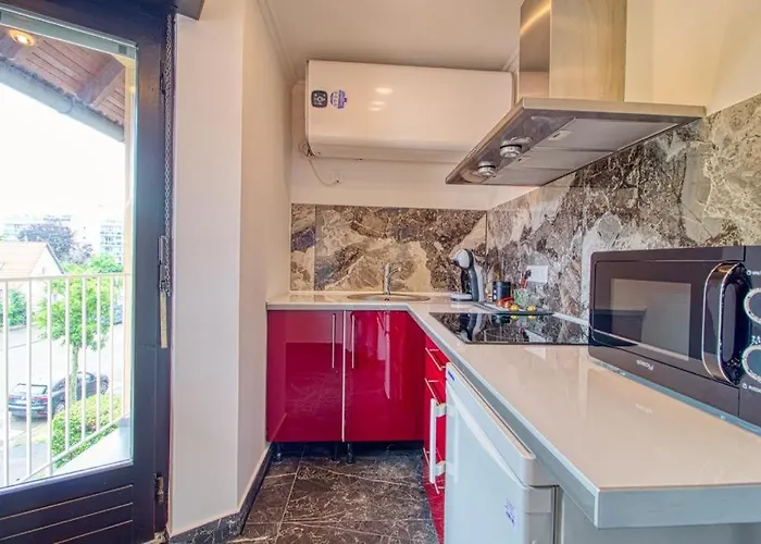 Apartment Avec Sauna, Jacuzzi, *