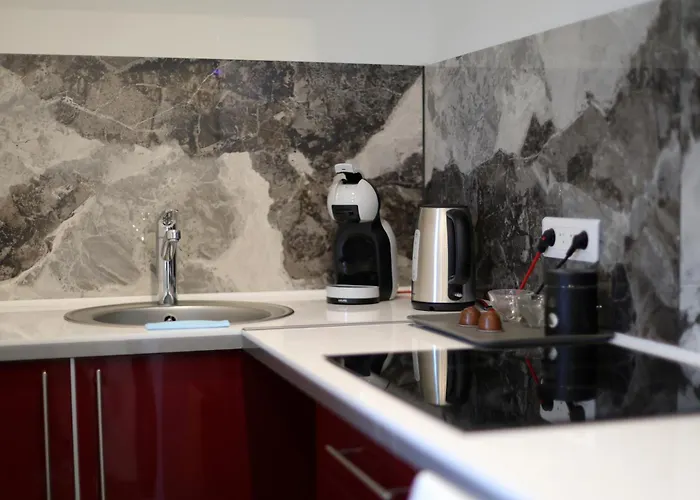 Apartment Avec Sauna, Jacuzzi, Strasbourg